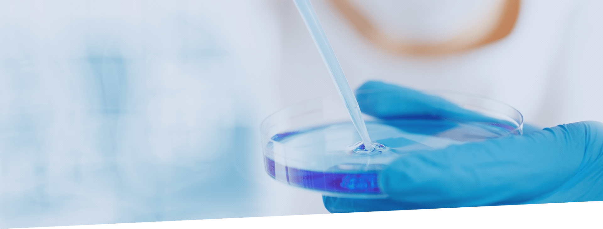 CA88(中国区)唯一官方网站