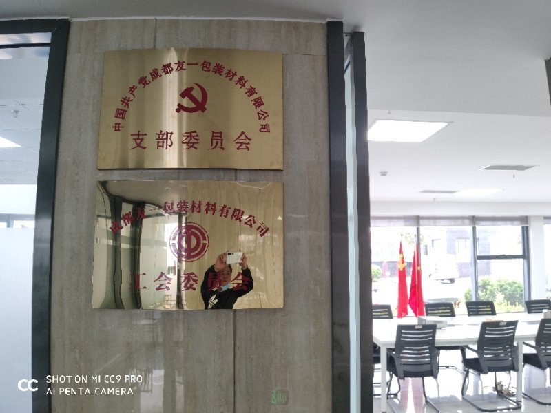 热烈祝贺CA88集团成都分公司党支部在2020年3月11日授牌成立，支部书记曹云(行政部经理)